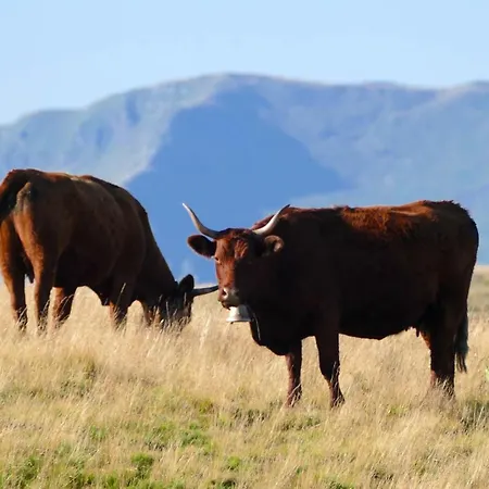 L'impradine, Grand Vue Et Nature Splendides